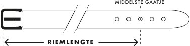 riemlengte