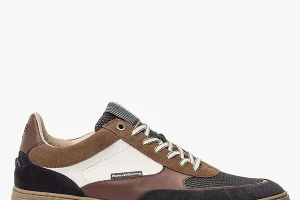 Van Bommel, SFM-10143 Cognac
